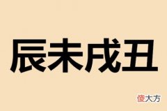 辰戍丑未四土