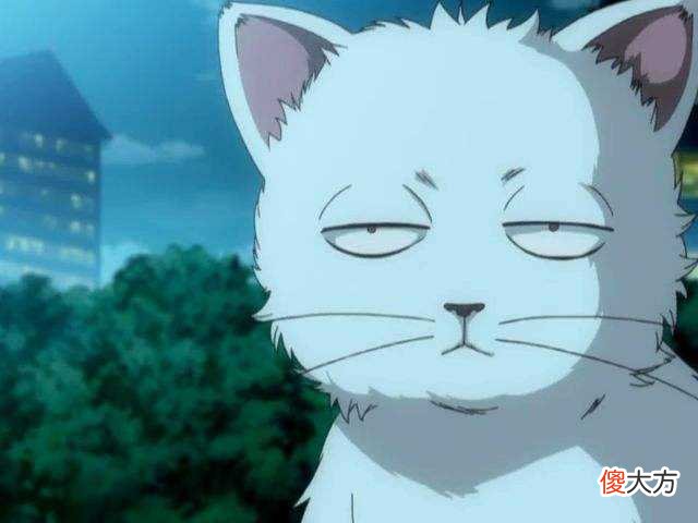 什么是死鱼眼，死鱼眼的人好吗？