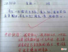 “我养的鱼淹死了”，老师批学生没有常识，专家：孩子是对的