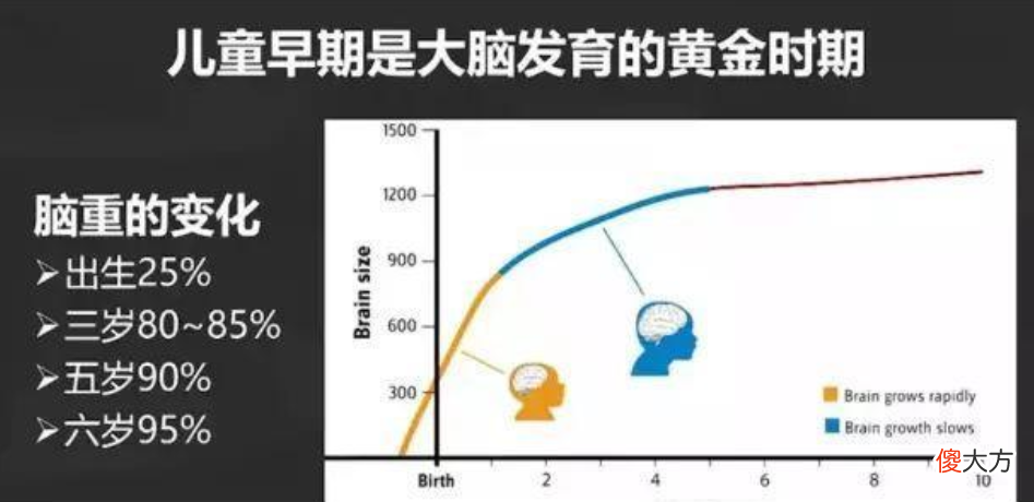 哈佛大学研究：3岁前，宝宝多接受这些“刺激”，大脑会更聪明