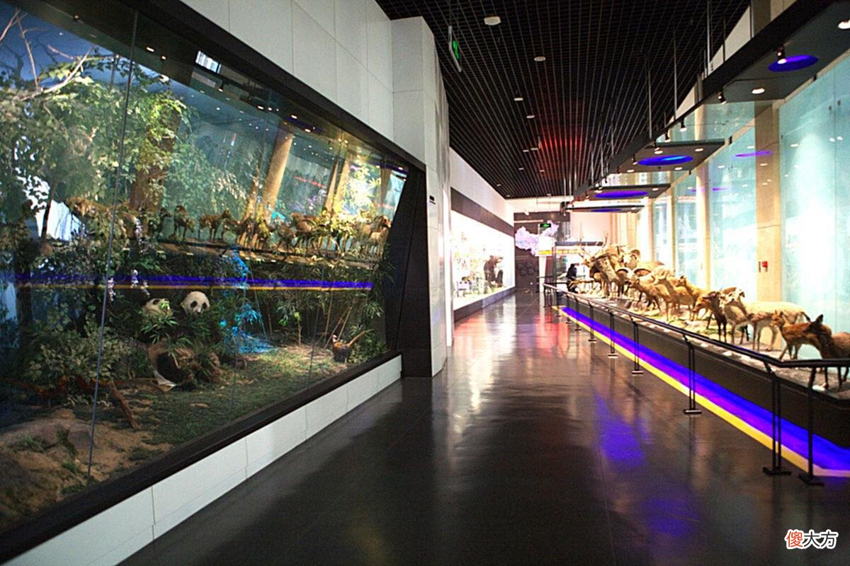 【爱历史】82年一河南农民偶得一宝物10万不卖,竟然牵出武则天的一桩秘事