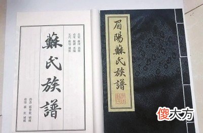 【历史故事】苏炳添是不是苏轼后人？许昌苏辙后人发声