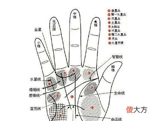 女人手相算命图解-嫁得好的手相