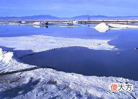 【爱历史】盐真的那么重要么，为何古代官方都要严格控制盐？