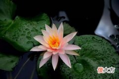 不同时辰出生的性格与命运