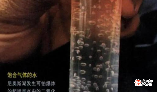 1986年非洲“杀人湖”一夜夺走1700人生命，将水抽出后，揪出凶手