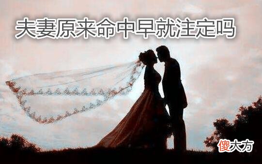 夫妻----原来命中早就注定