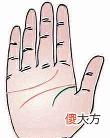 生命线短意味着什么?