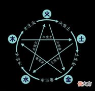 壬辰年五行属什么