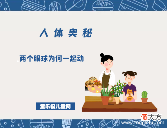 「人体奥秘百科」两个眼球为何一起动