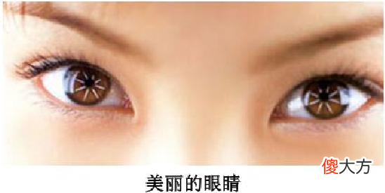 「人体奥秘百科」两个眼球为何一起动