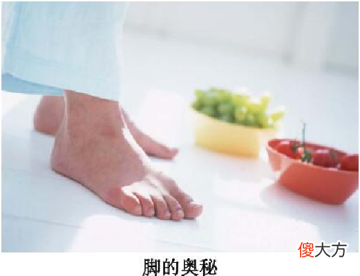「人体奥秘百科」左右脚机能差别