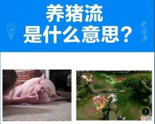 【游戏世界】《王者荣耀》猪神大战主播刺痛直播，网友见状十分意外