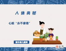 「人体奥秘百科」心脏“永不疲倦”