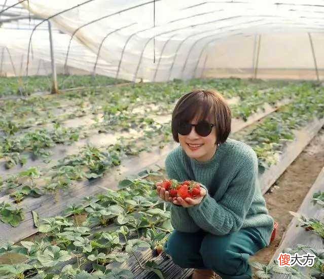 【就爱时尚】孙俪的4种穿衣风格，你喜欢哪一种
