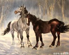 【十二星座】哪几个生肖的人，承担起责任和压力，阳光在风雨后，一切顺利平安