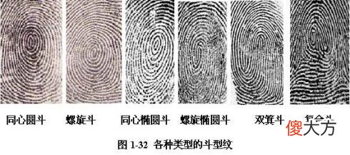 手指斗的说法-手相有几个斗是富贵命？