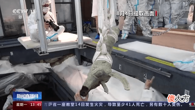 【历史故事】三星堆新发现：“猪鼻龙”满鼻铸牙璋造型尤为别致