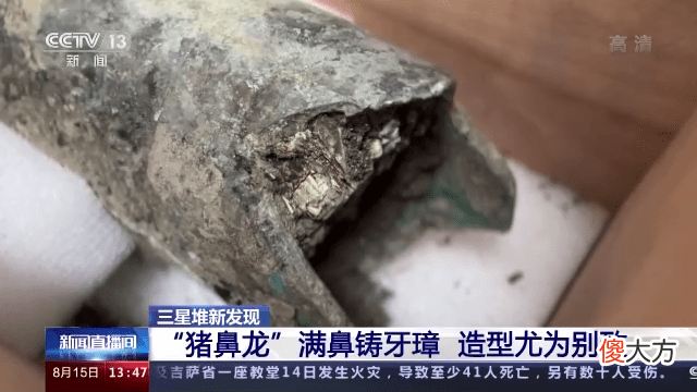 【历史故事】三星堆新发现：“猪鼻龙”满鼻铸牙璋造型尤为别致