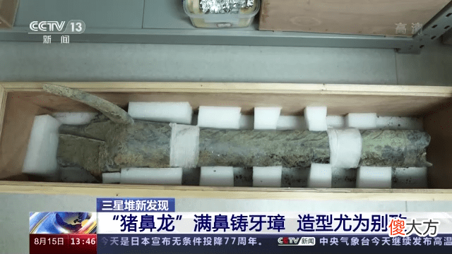 【历史故事】三星堆新发现：“猪鼻龙”满鼻铸牙璋造型尤为别致
