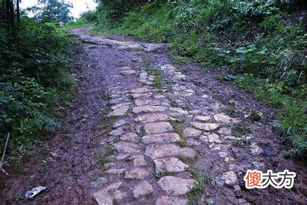1990年出生是什么命？【路旁土命】