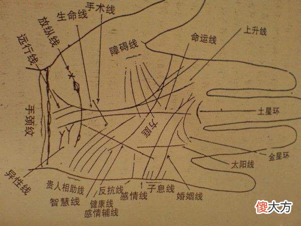 手相 掌相 指相