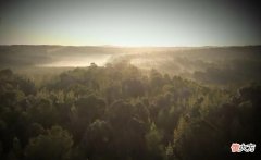 【爱历史】千年古墓挖出道家真相，让人们进一步看清了神秘古老的道世界。