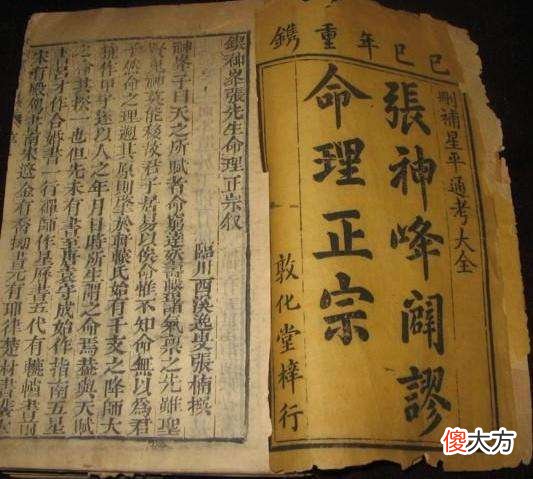 神峰通考病药说类