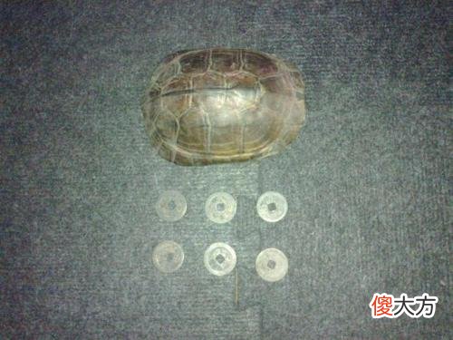 简单介绍一下纳甲占卜法的发展