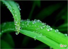 十干断验汇编之癸水