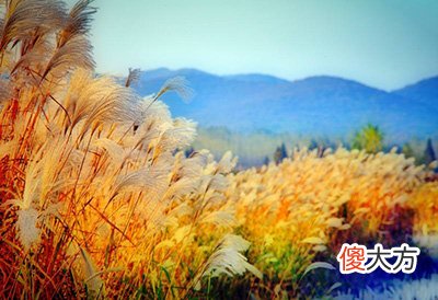 十干在月令喜用-戌月