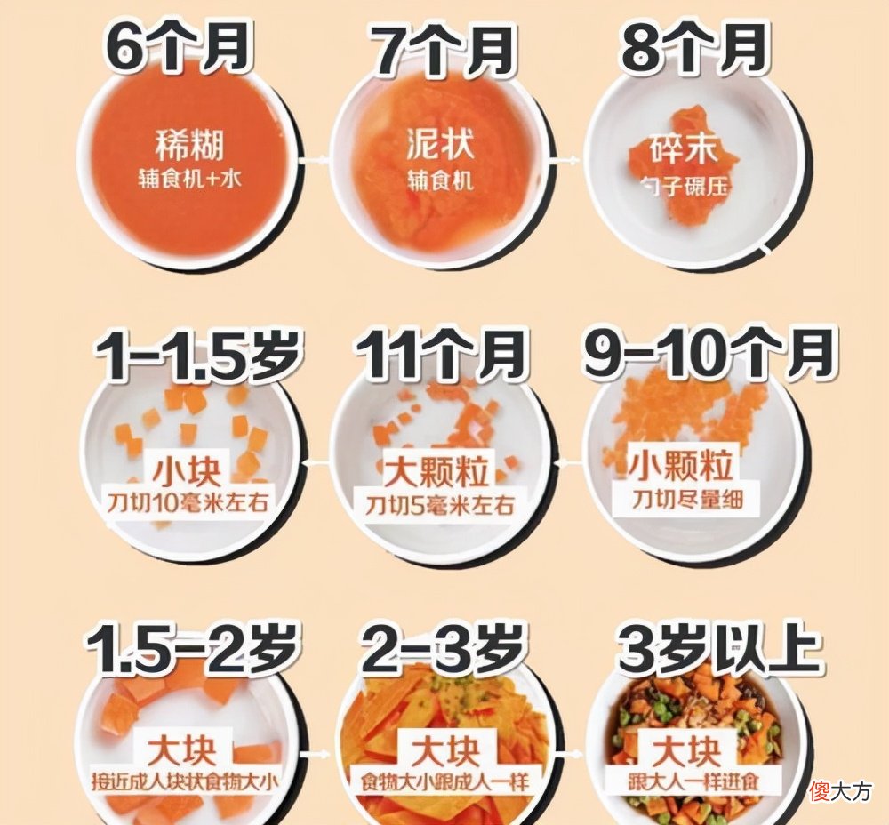 6-12个月宝宝辅食性状演变过程，不同月龄吃法不同，父母可收藏