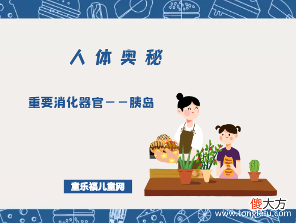 「人体奥秘百科」重要消化器官——胰岛