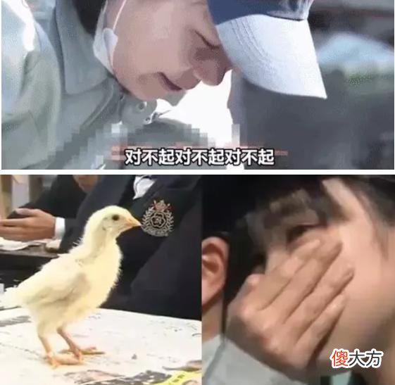 日本奇葩生命课，让孩子吃自己养的鸡，600万网友争论：有必要吗