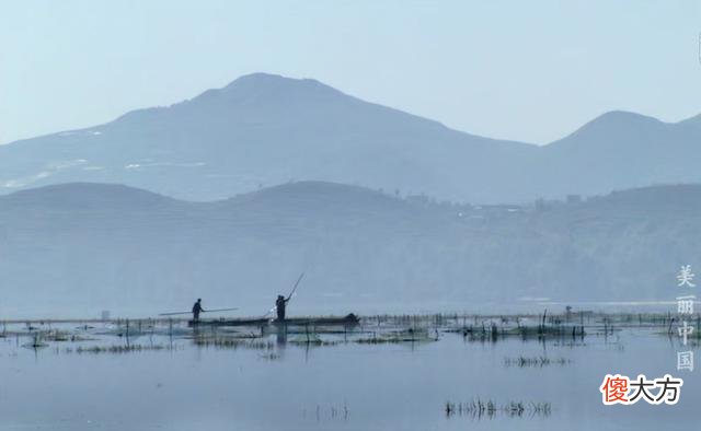 3部适合孩子的自然科学纪录片：所谓富养，是要给孩子见识和思维