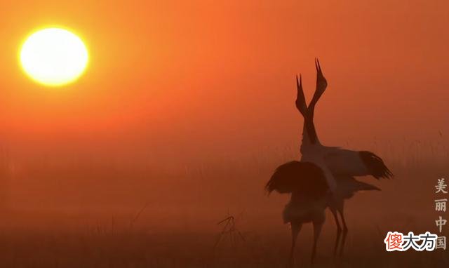 3部适合孩子的自然科学纪录片：所谓富养，是要给孩子见识和思维