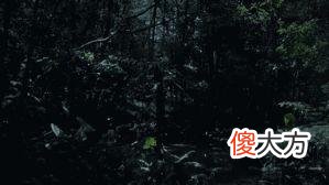 3部适合孩子的自然科学纪录片:所谓富养,是要给孩子见识和思维