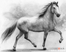 【星座控】生肖马出生在几点钟，不是苦命，总能成功，再难都能翻身