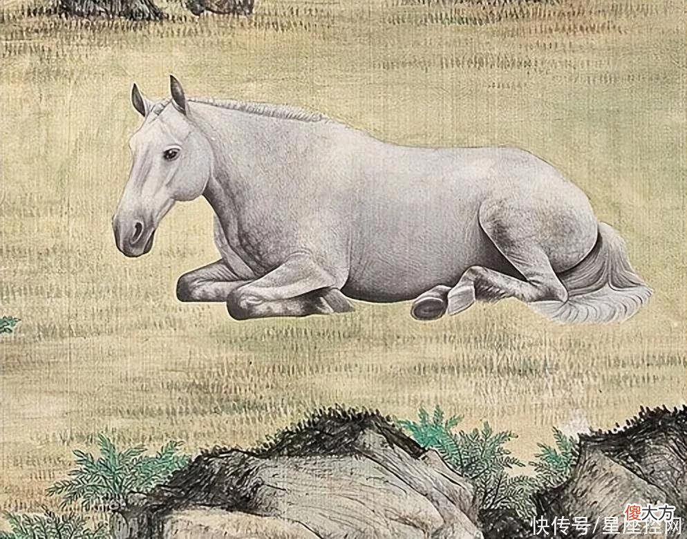 【星座控】生肖马出生在几点钟,不是苦命,总能成功,再难都能翻身