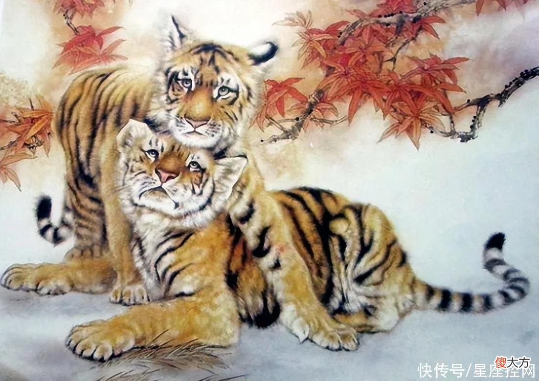 【十二星座】2022年日子越过越红火的生肖，年底没有风吹雨打，只赚大钱