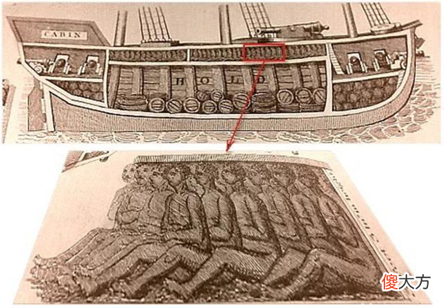 【历史故事】黑人奴隶在贩奴船上有多怂？被白人虐待，宁愿自杀也不敢反抗
