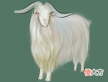 2015年五行属什么？