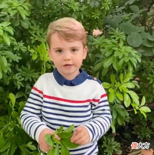 谁是查尔斯王子最喜欢的孙子？乔治还是阿奇？