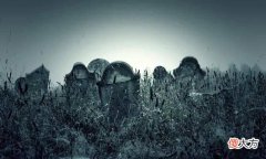 【历史故事】《山海经》中的僵尸是怎么回事？