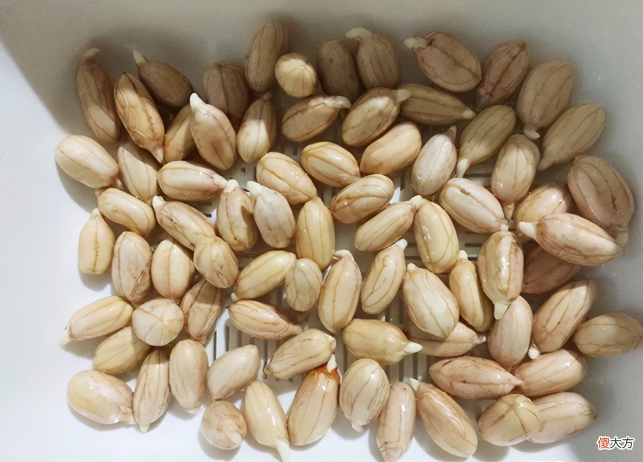 这3种食物发芽后,就算再节俭也要扔掉,别再让孩子吃了