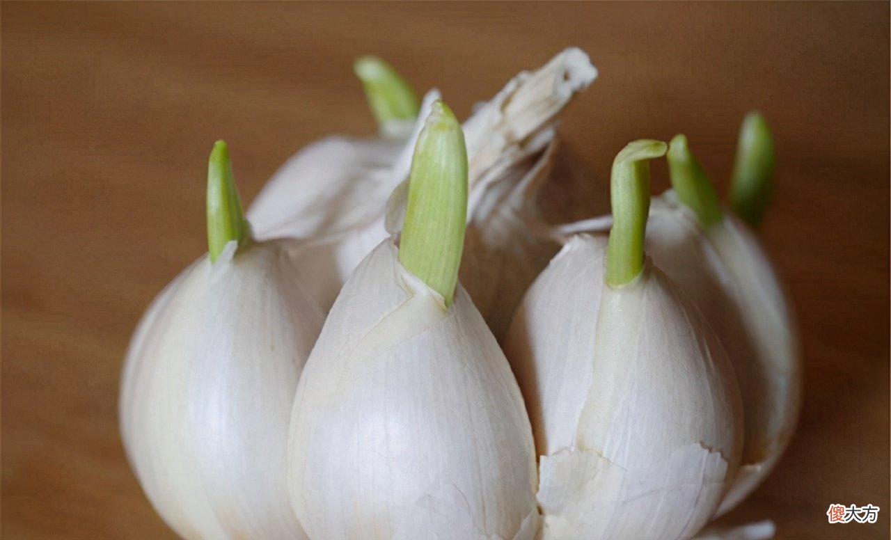 这3种食物发芽后,就算再节俭也要扔掉,别再让孩子吃了