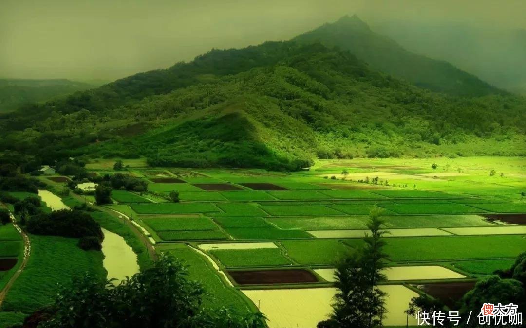 【星座控】9月,天赐良缘,烂桃花消散,3个生肖爱情大翻身,有望喜获真爱