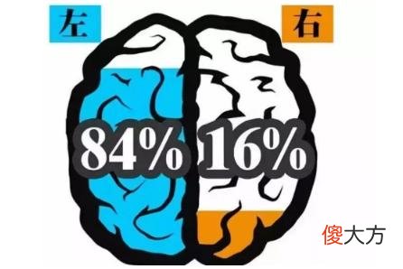 “右脑开发早，智商才会高”，4种方法开发孩子右脑，建议家长收藏