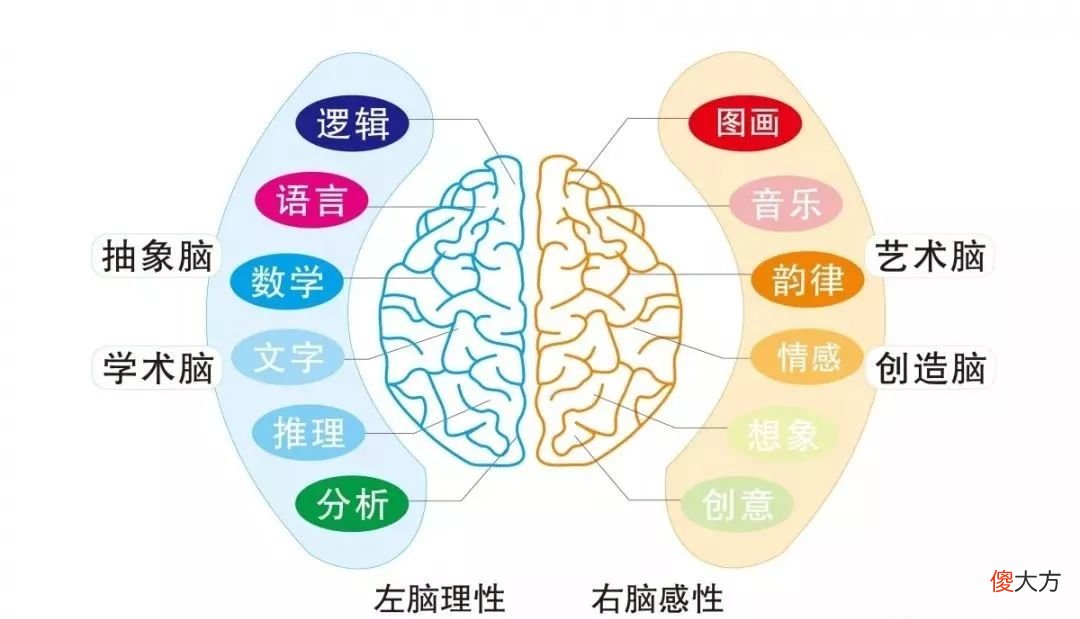“右脑开发早，智商才会高”，4种方法开发孩子右脑，建议家长收藏