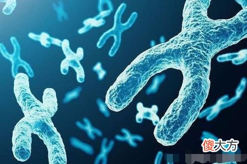 4岁女孩面若天使，却先天不足，只因父母的基因不合，婚检很重要